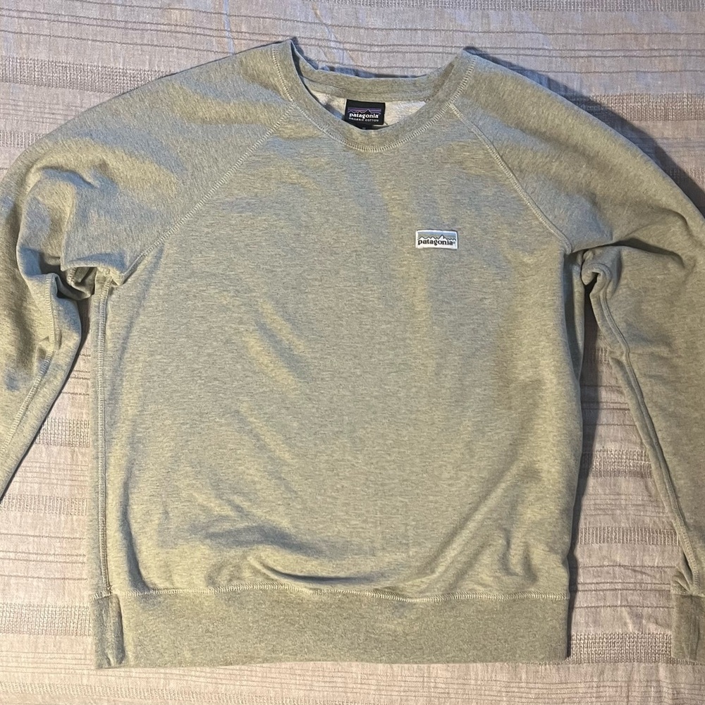 Patagonia sweatshirt - good used condition - women M - light green